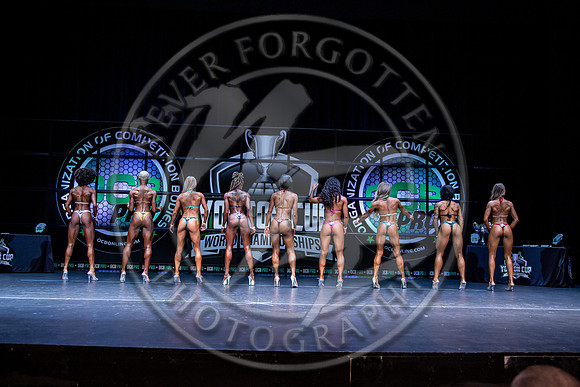 OCB YC24 - IMG_2729