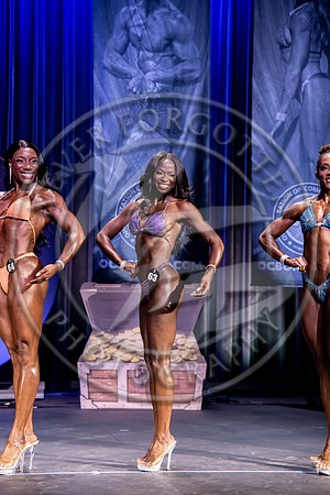 W-CFF25 - IMG_1829