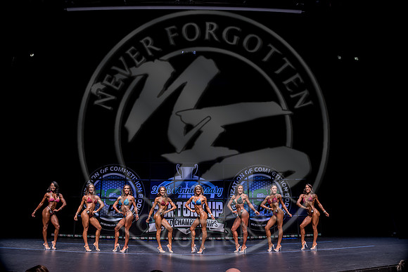 W- YCC25 - IMG_6498