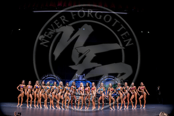 W- YCC25 - IMG_7905