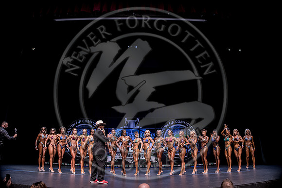W- YCC25 - IMG_7484