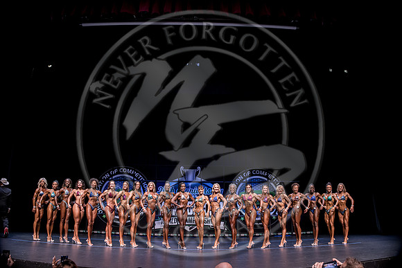 W- YCC25 - IMG_7486