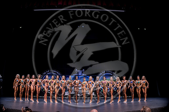 W- YCC25 - IMG_7487