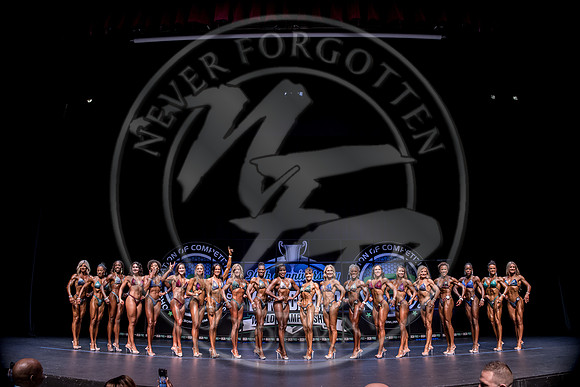 W- YCC25 - IMG_7499