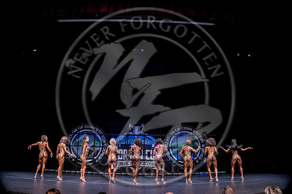 W- YCC25 - IMG_0317