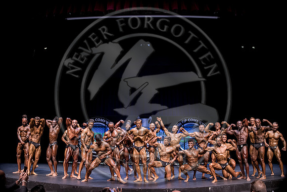 M-YCC25 - IMG_6545