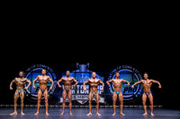 Pro Men's Bodybuilding - D
