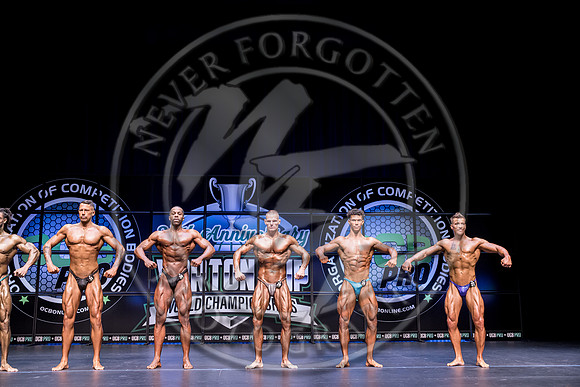 M-YCC25 - IMG_2238