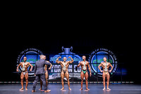 Pro Men's Bodybuilding Awards
