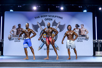 Men's Physique Open A (PQ)