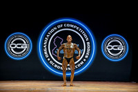 Men's Bodybuilding Masters 50+