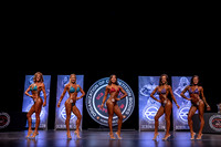 Women's Bikini Open A PQ