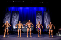 Men's Bodybuilding Open