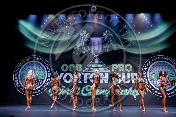 WB YCC26 - IMG_1397