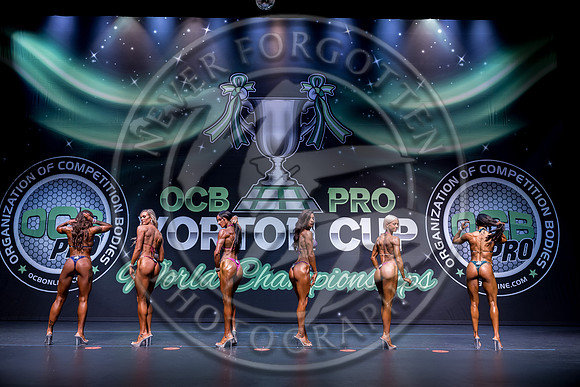 WB YCC26 - IMG_5367